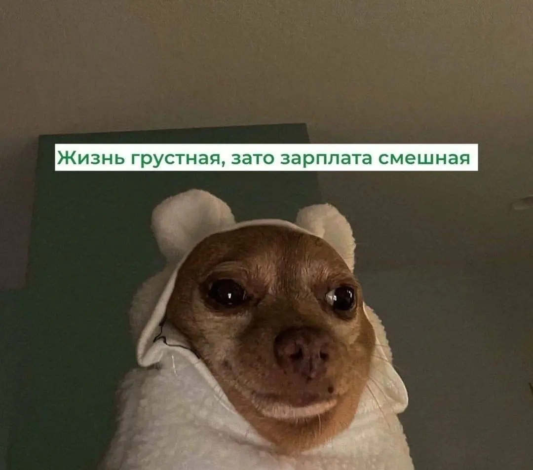 По волнам коммуникаций | Сетка — социальная сеть от hh.ru