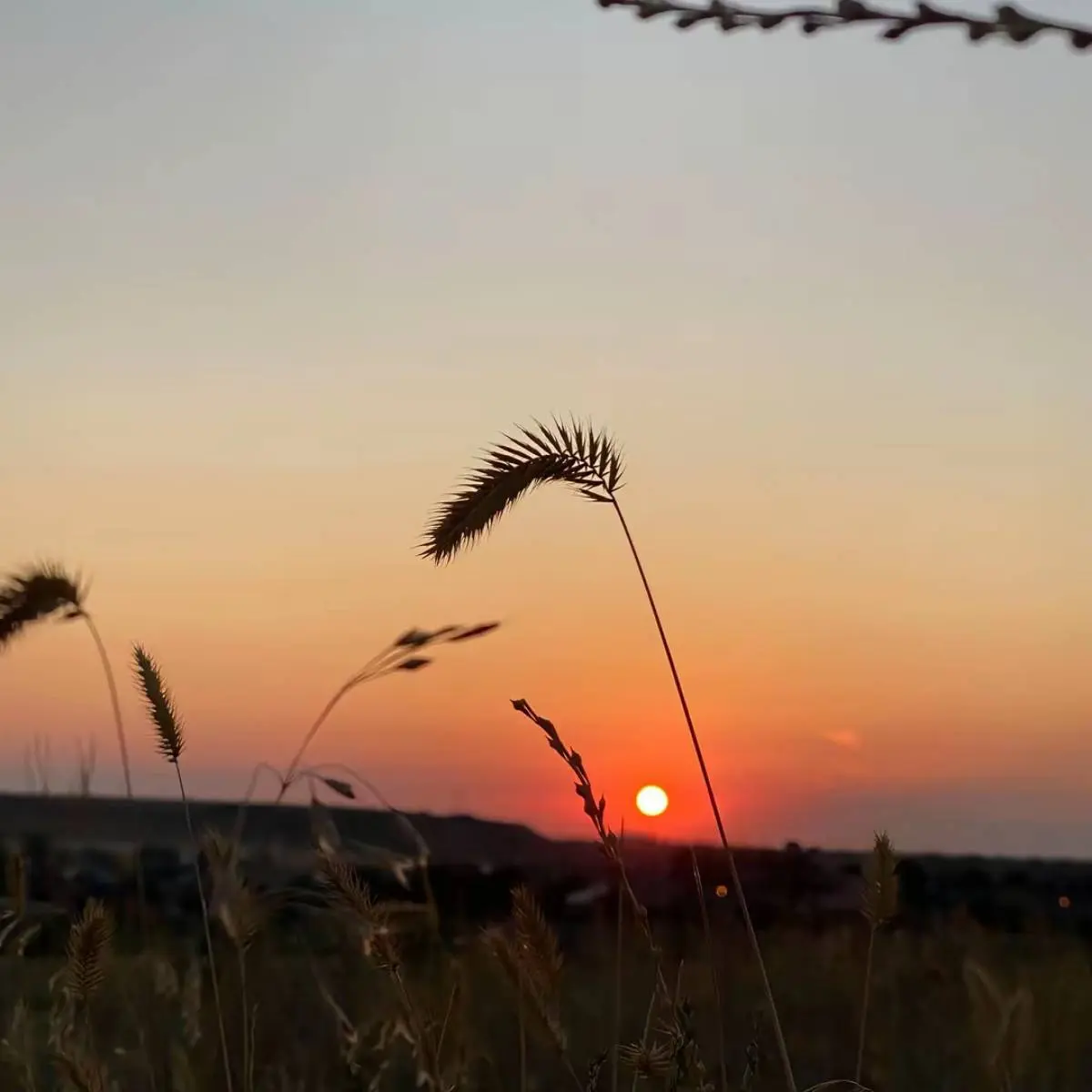 Сабина Абдурагимова