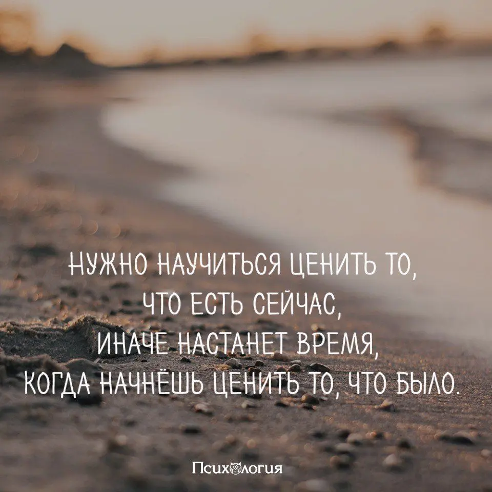 Цени то, что имеешь | Сетка — социальная сеть от hh.ru