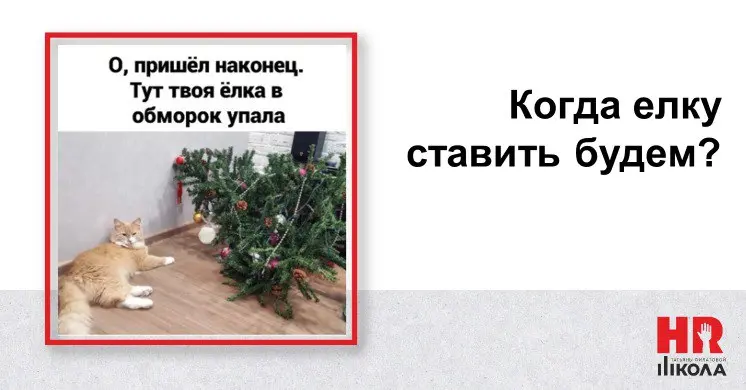 Месяц до нового года, все ставят елки, украшают дома, покупают адвент-календари.
.
Есть у вас уже новогоднее настроение? Если нет, то самое время погрузиться в субботние мемы
Поехали! #МемыHR | Сетка — социальная сеть от hh.ru