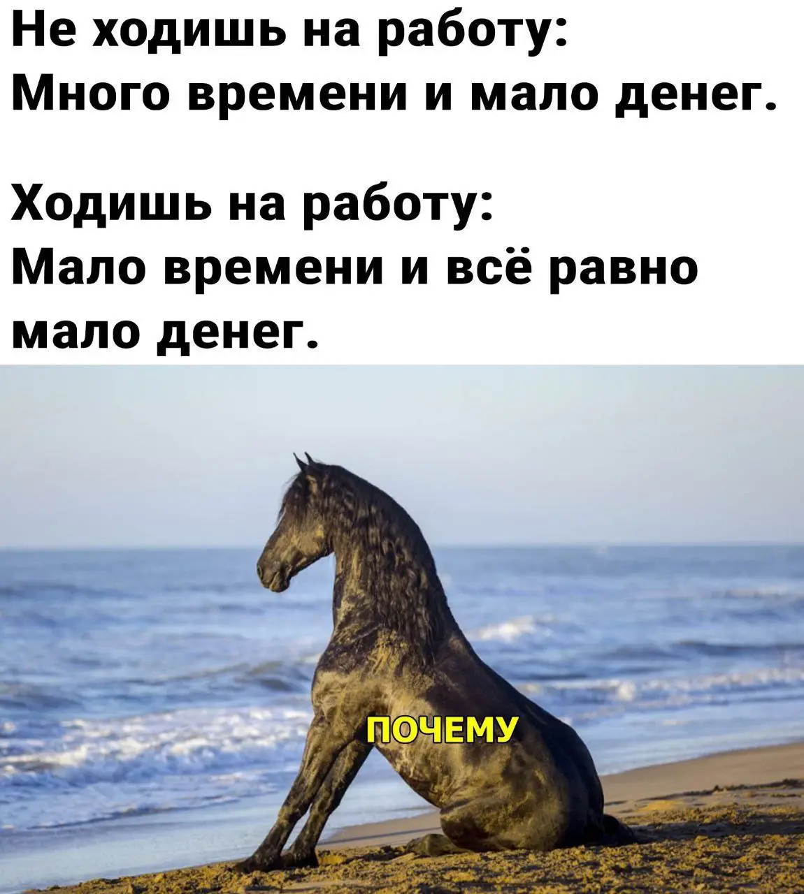 Почему...
Доброго утра!
Хороших выходных 💊
И скидывайте свои мемы!⬇️
#чащесмейся | Сетка — социальная сеть от hh.ru
