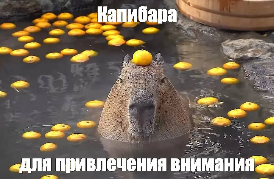 Мучаюсь тут последний месяц одной мыслью | Сетка — социальная сеть от hh.ru