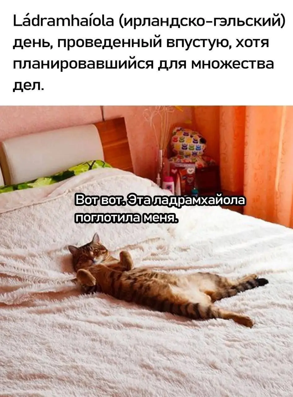 Все объяснимо 😂😂😂
#Юмор@poldner    #Коты@poldner | Сетка — социальная сеть от hh.ru