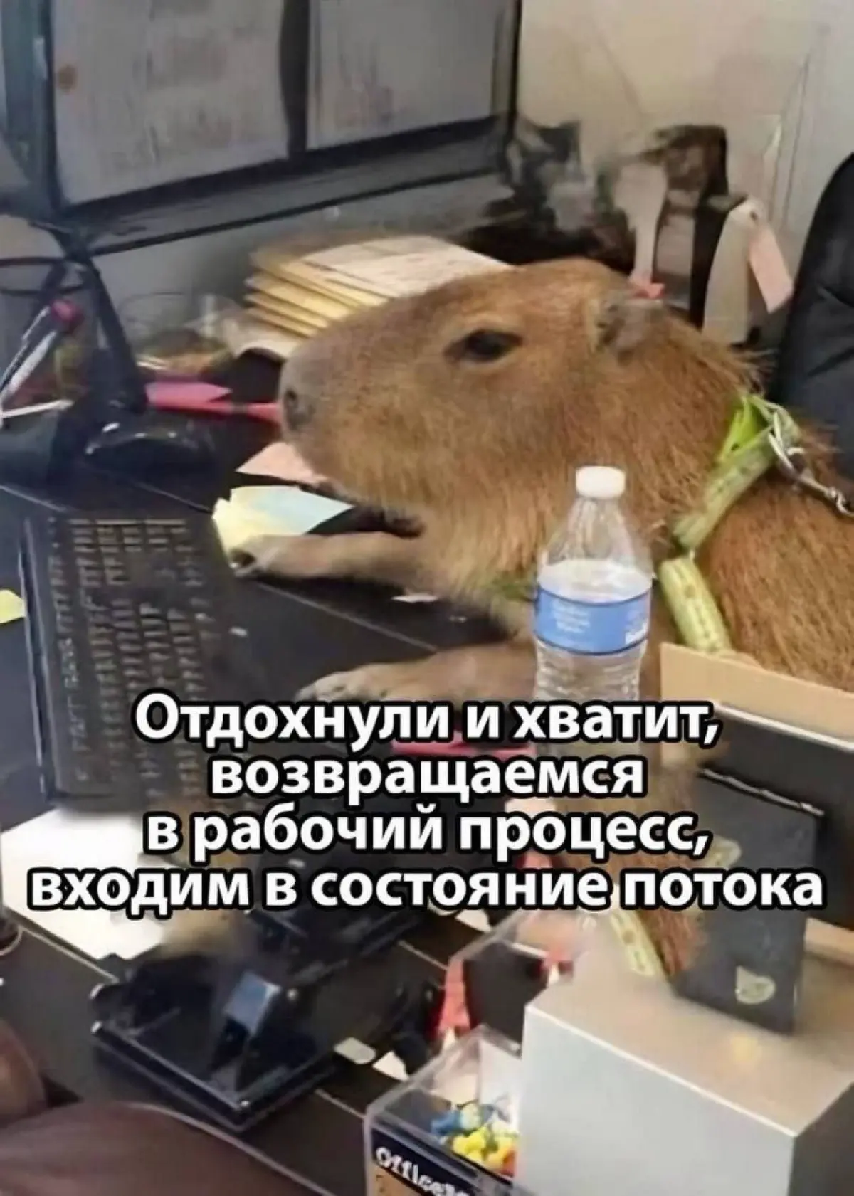 За один день | Сетка — социальная сеть от hh.ru