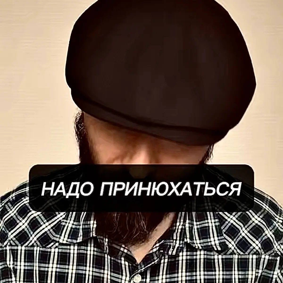 🎙️тг | Сетка — социальная сеть от hh.ru