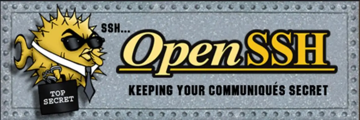 Я каким-то случайным образом оказался на сайте OpenSSH и меня заинтересовал их логотип. Почему рыба фугу? Пошел копаться в историю логотипа | Сетка — социальная сеть от hh.ru