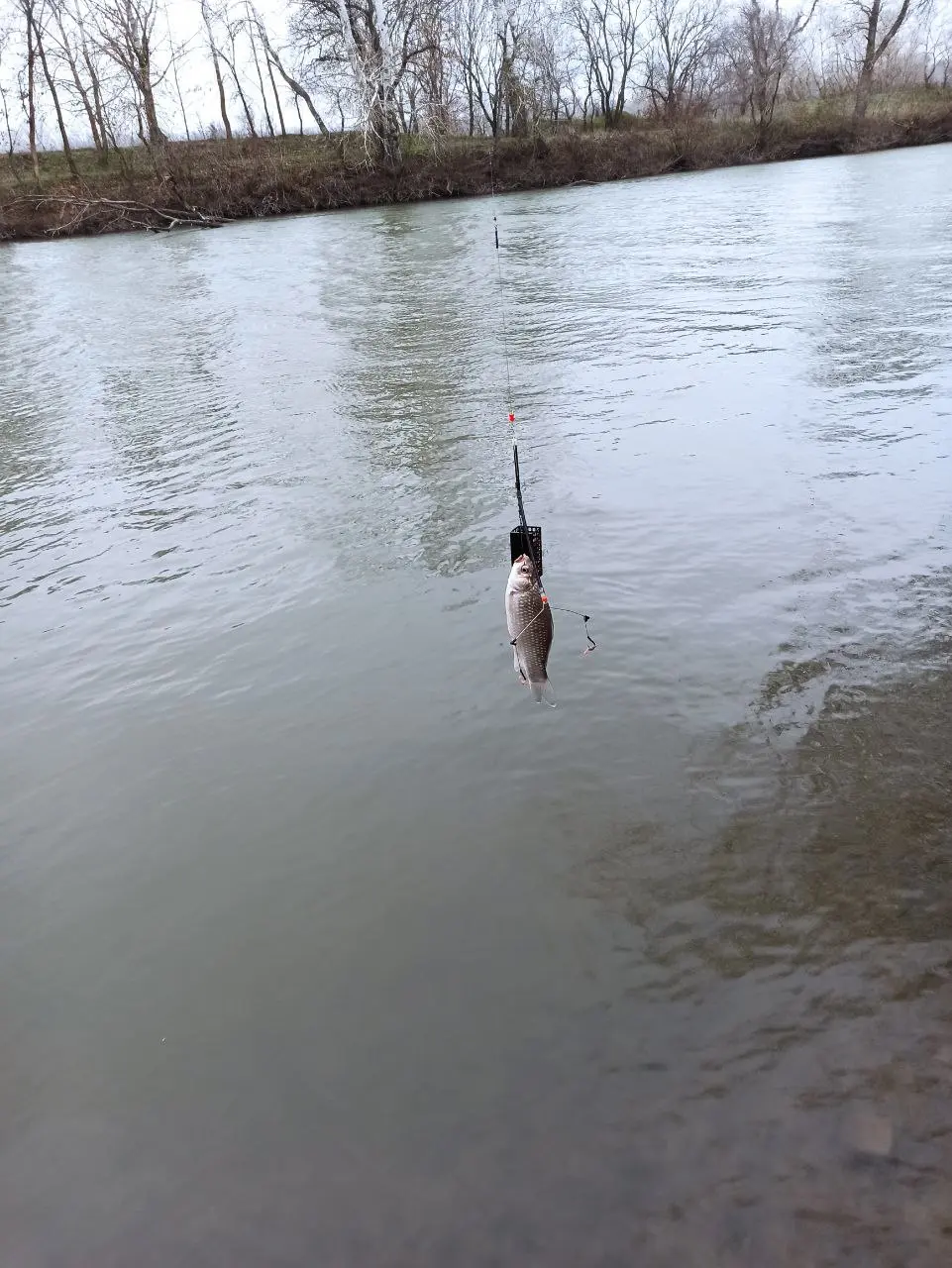 Для меня идеальное сочетание для разгрузки — природа + вода и подальше от шума людей.
Сегодня был на рыбалке. Улов не так и важен, я обычно всë выпускаю или отдаю | Сетка — социальная сеть от hh.ru