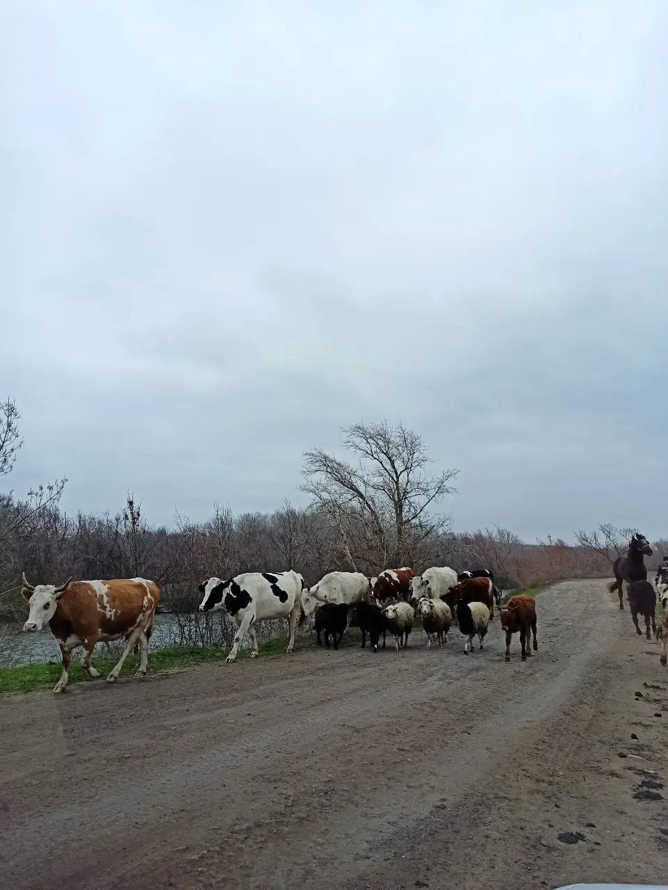 Для меня идеальное сочетание для разгрузки — природа + вода и подальше от шума людей.
Сегодня был на рыбалке. Улов не так и важен, я обычно всë выпускаю или отдаю | Сетка — социальная сеть от hh.ru