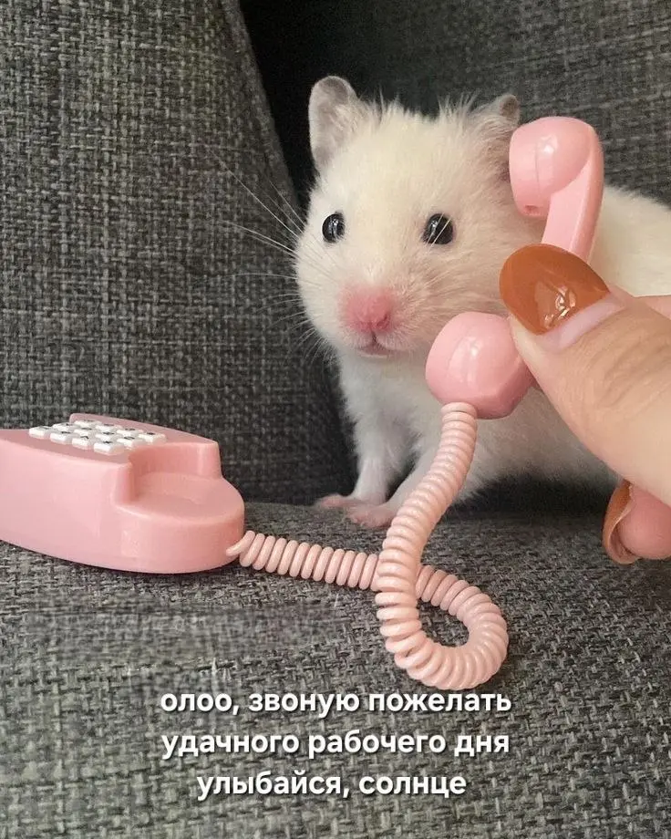 С началом рабочей недели 🙃
#работа #вакансии #hr #GdeRabota | Сетка — социальная сеть от hh.ru