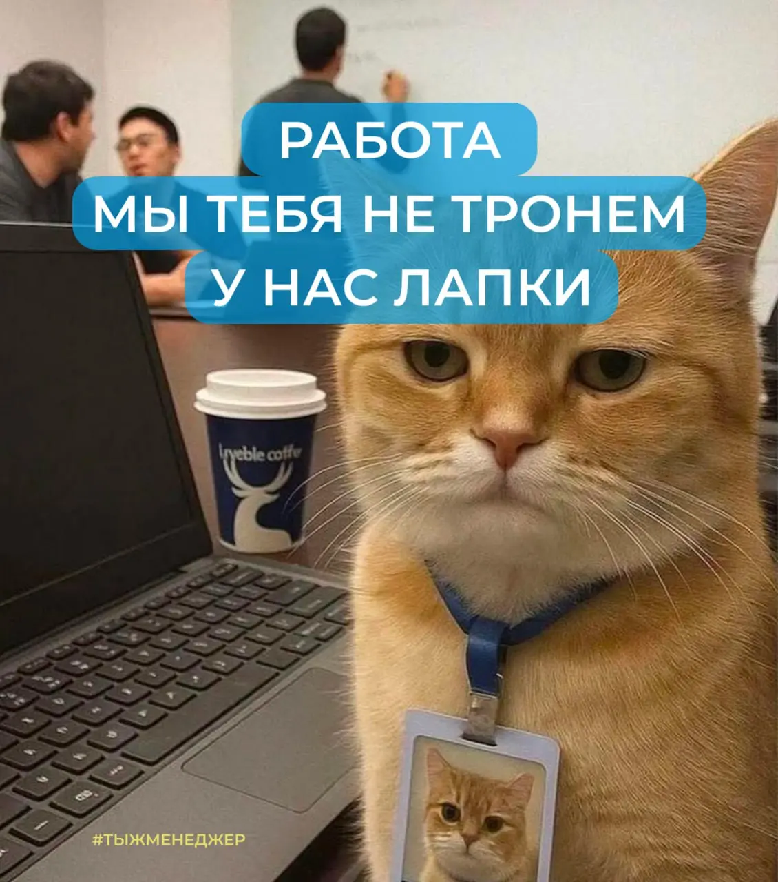 Работа, ты нас не бойся
Работа — это удивительное место, где организм ведёт себя как классический менеджер:
утром планирует позавтракать, после обеда стратегически вздремнуть, а всё остальное время ст... | Сетка — социальная сеть от hh.ru