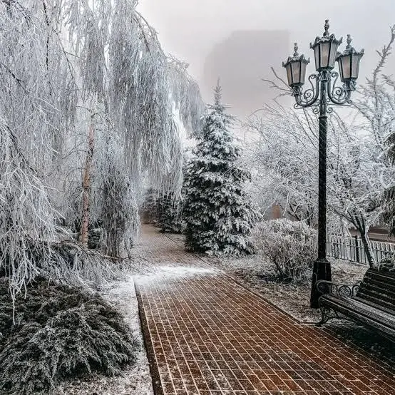 С первым днём зимы, Ставрополь!❄️ | Сетка — социальная сеть от hh.ru