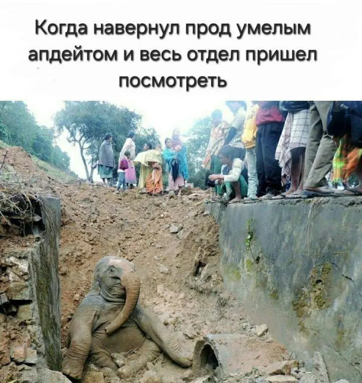 #it #work | Сетка — социальная сеть от hh.ru