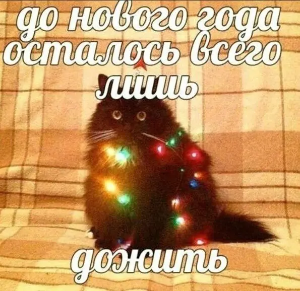Труженики! 🐝
Поздравляем всех с первым днем зимы!
Еще немного и будет Новый год!! | Сетка — социальная сеть от hh.ru