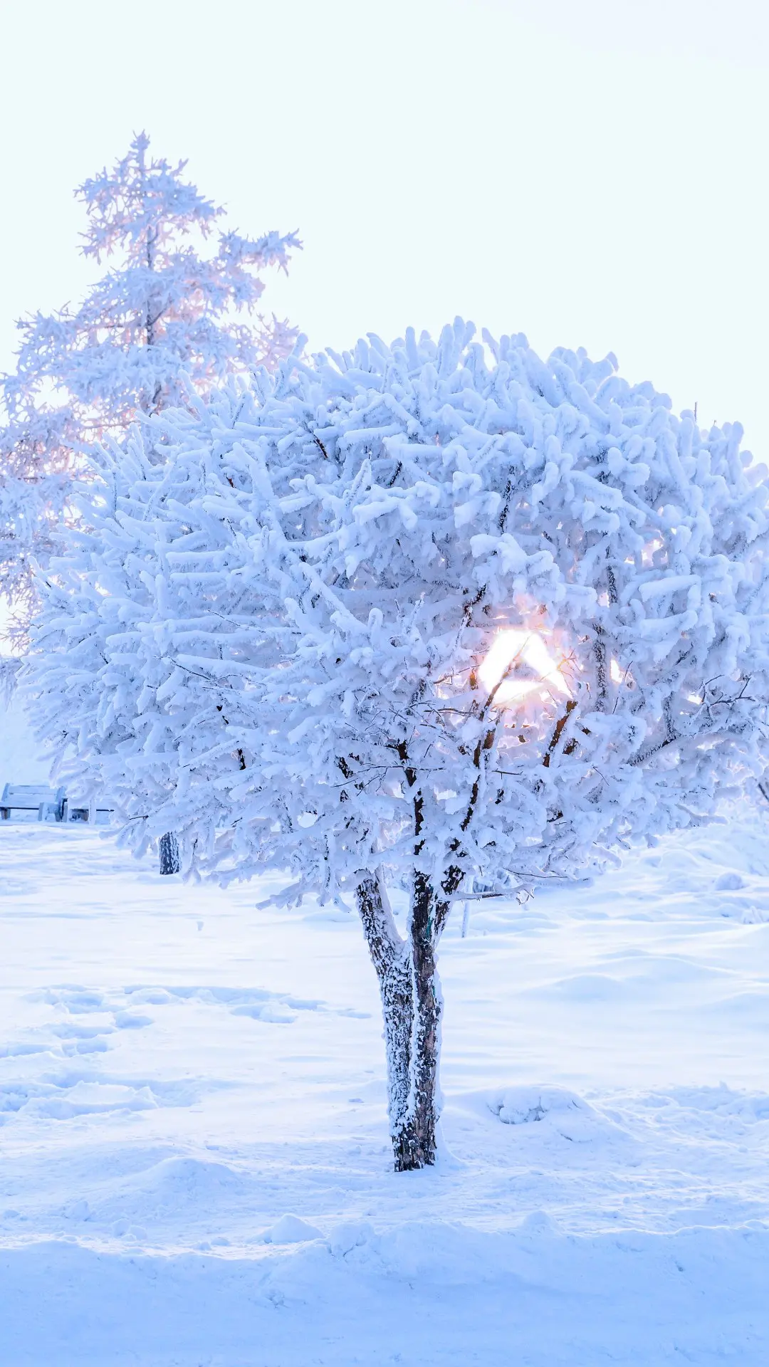 Мы знаем простой способ настроиться на Новый год. Сменить фон на экране телефона. Дарим коллекцию зимних обоев от команды наших дизайнеров 🎄
Ещё больше вариантов вы найдёте на нашей странице Вконтакте | Сетка — социальная сеть от hh.ru