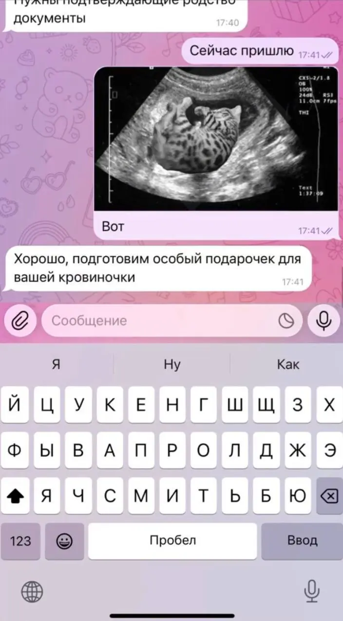 #предновогоднее
С началом зимы❄️
Пора зачаровывать себе новогоднее настроение и ворожить подарочки! Пусть даже с помощью кота 😜😻 | Сетка — социальная сеть от hh.ru