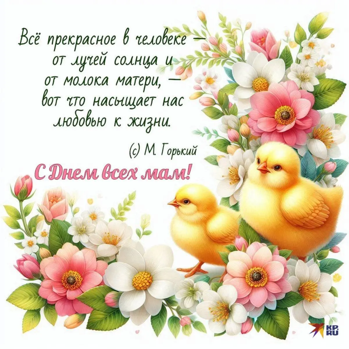Алла Пирова