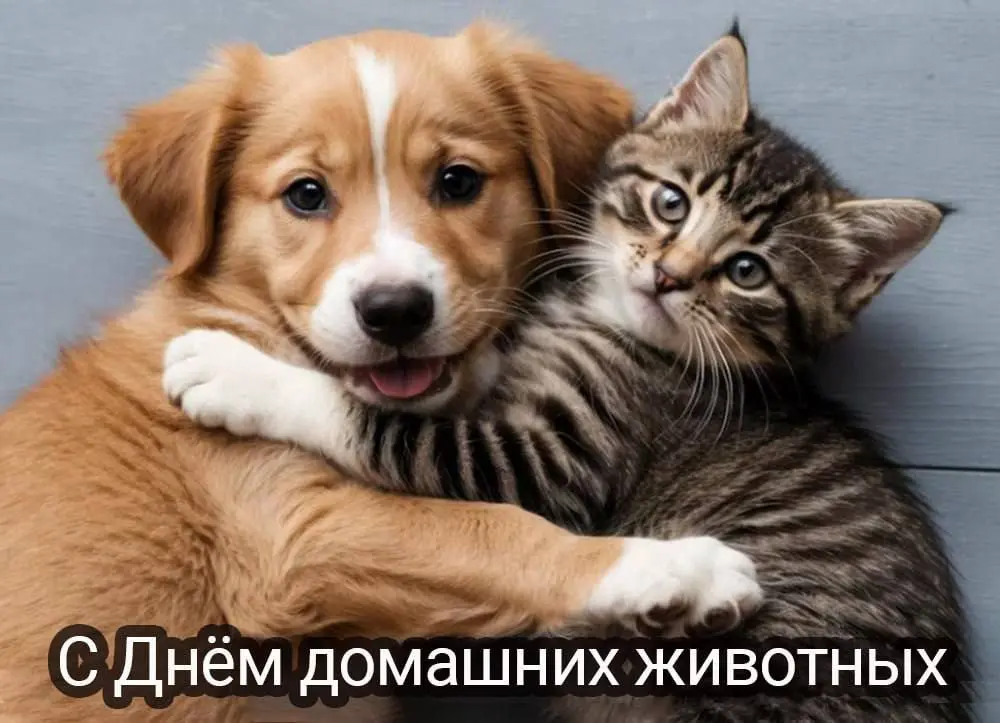 🐾 30 ноября — Всемирный день домашних животных
Сегодня мы отмечаем тёплый и важный праздник, посвящённый нашим любимым пушистым, хвостатым и крылатым друзьям 🐶🐱🐰
Этот день создан для того, чтобы напом... | Сетка — социальная сеть от hh.ru