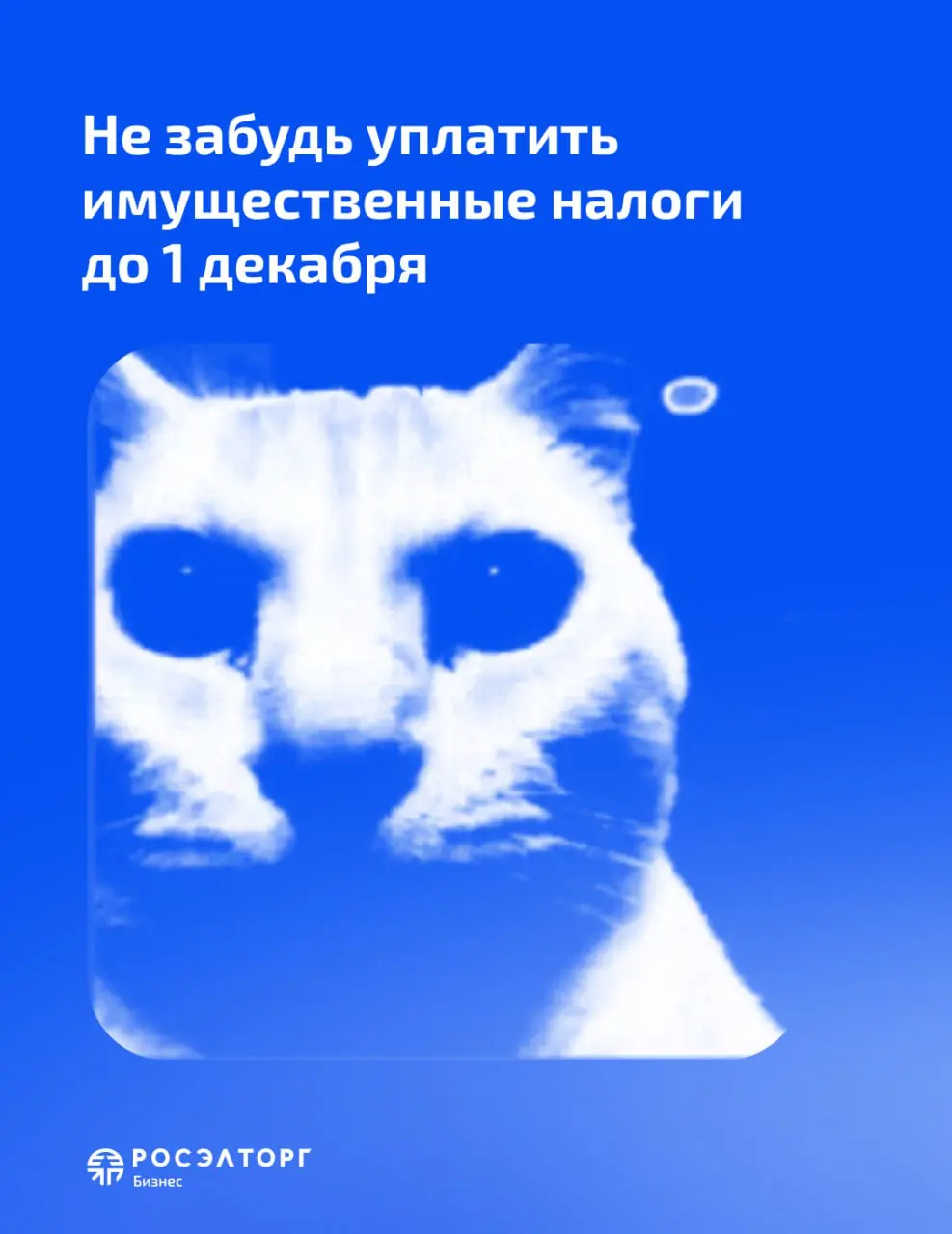 Налог на помещение для бизнеса на УСН в 2025 году
Первое декабря не только первый день зимы, но и последний для уплаты имущественных налогов | Сетка — социальная сеть от hh.ru