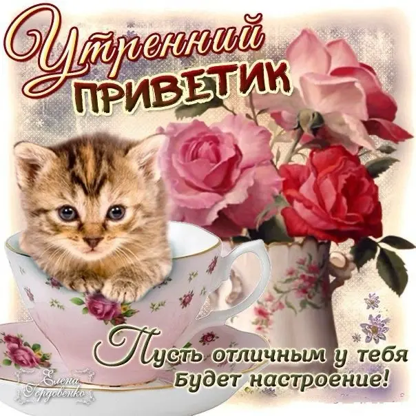 Друзья, всем привет! 👋
Меня зовут Катя, я преподаватель английского языка и магистрант межкультурной коммуникации и перевода👩🏻‍🎓
В свободное время увлекаюсь играми 🎮, естественными науками🦕, изучением... | Сетка — социальная сеть от hh.ru