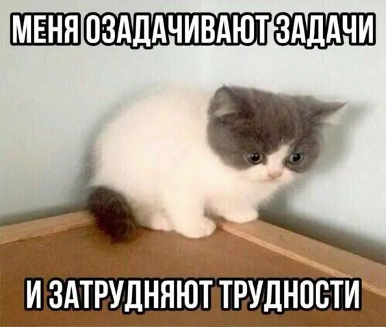 «А можно побольше резюме?»
Иногда заказчики думают, что рекрутер = генератор CV.
Но наше дело — не пачку откликов скинуть, а отобрать самых релевантных.
⚡ Помни: количество ≠ качество | Сетка — социальная сеть от hh.ru