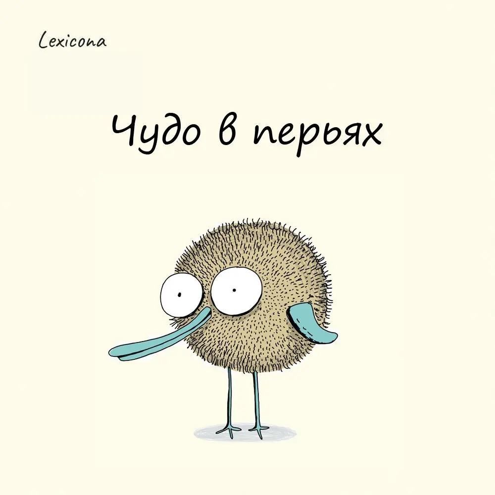 Чудо в перьях
Выражение ласкательно описывает чудаковатого человека с лёгкой ебанцой | Сетка — социальная сеть от hh.ru