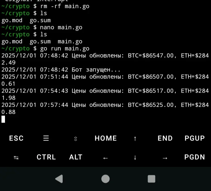 Termux и Golang | Сетка — социальная сеть от hh.ru