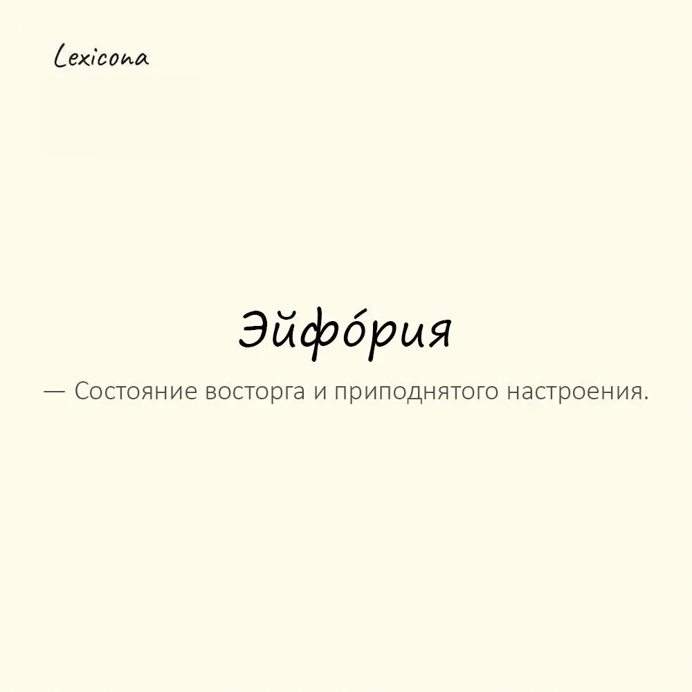 Эйфо́рия — состояние восторга и приподнятого настроения.
Пример употребления:
После победы все были в эйфории. | Сетка — социальная сеть от hh.ru
