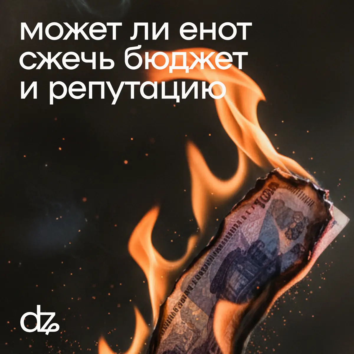 как один енот сжёг рекламный бюджет и репутацию бизнеса | Сетка — социальная сеть от hh.ru