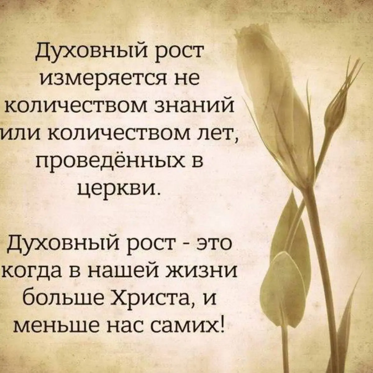 Анастасия Бабич