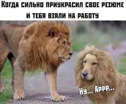 Ох и горячую я тему подняла с рекомендациями от бывшего работодателя, в Сетке даже в топ по просмотрам попала)
Ну а если серьезно, тема правда очень неоднозначная, тут много субъективности с обеих сто... | Сетка — социальная сеть от hh.ru