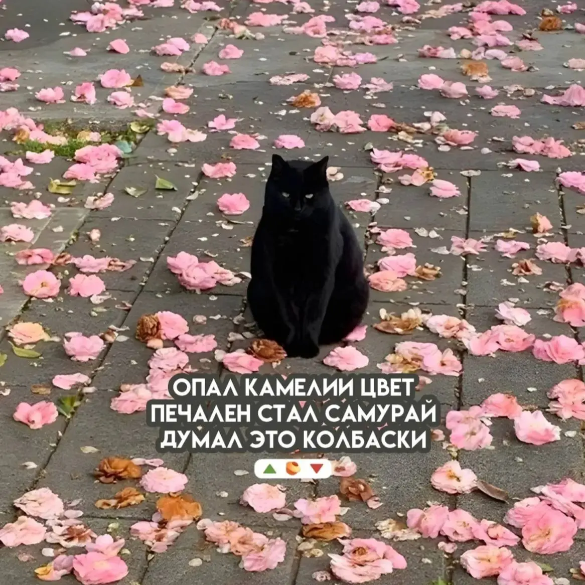 Если я начну постить мемы по второму кругу, сообщите, плиз. Желательно мне, но можно и врачу, который Альцгеймер лечит | Сетка — социальная сеть от hh.ru