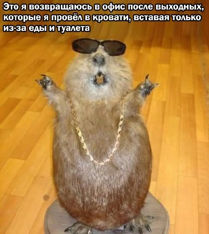 Все, постинг на сегодня закончен )) | Сетка — социальная сеть от hh.ru