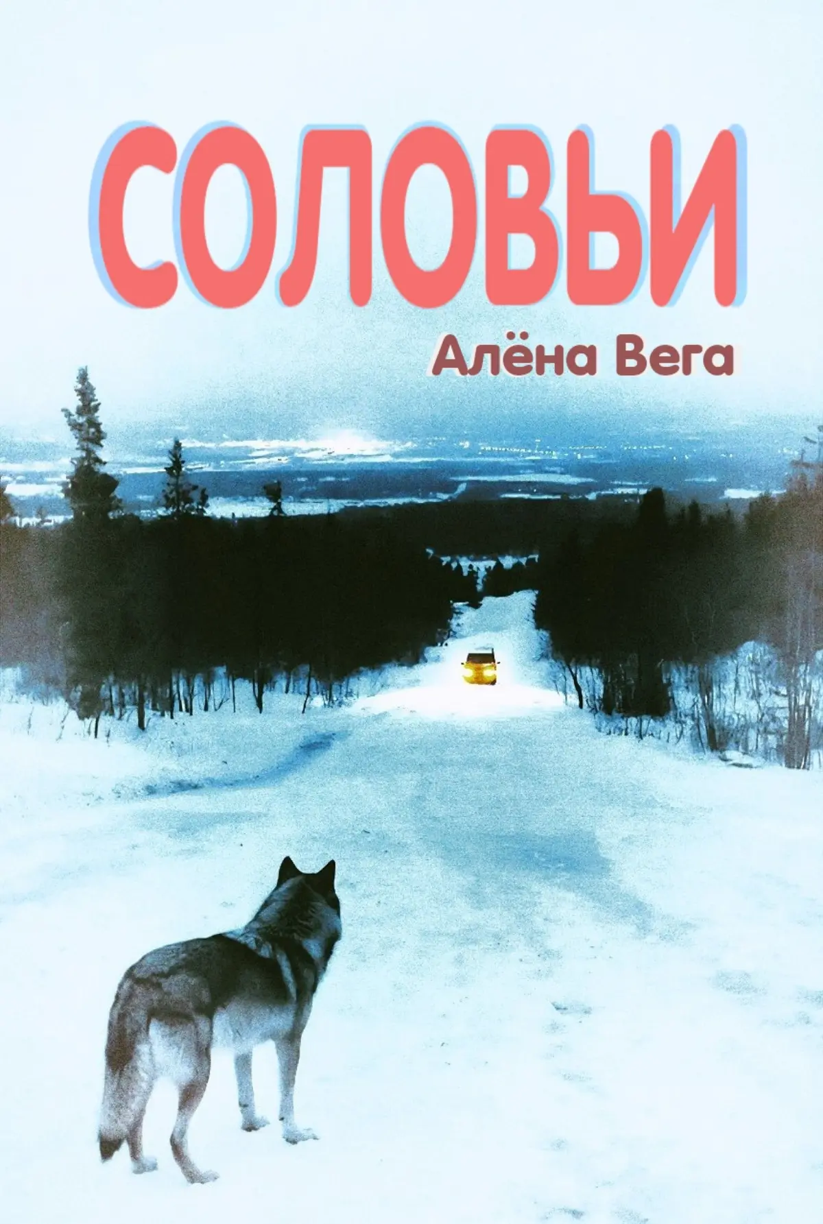Работа над книгой (обложка + магический реализм) | Сетка — социальная сеть от hh.ru