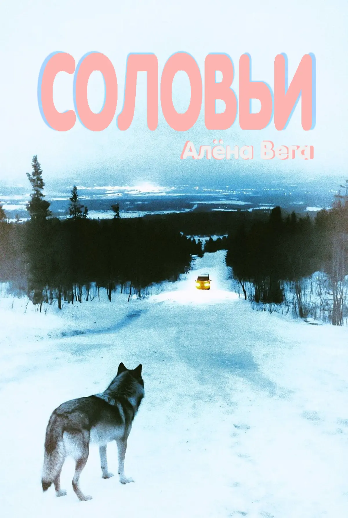 Работа над книгой (обложка + магический реализм) | Сетка — социальная сеть от hh.ru