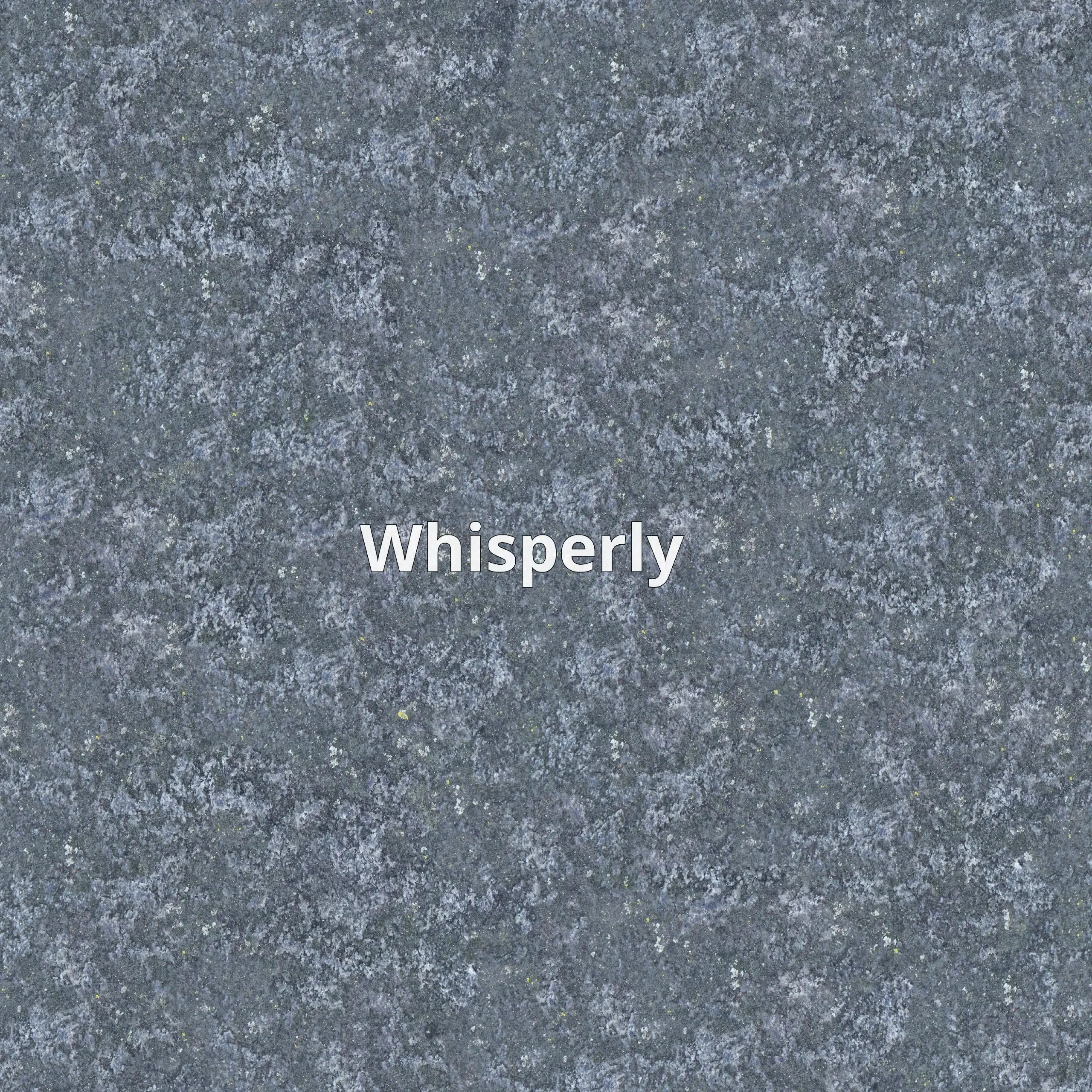 Whisperly — это веб-приложение, которое позволяет мгновенно общаться с незнакомцами через голосовые разговоры. Здесь нет серверов, приглашений или сложного управления сообществом | Сетка — социальная сеть от hh.ru