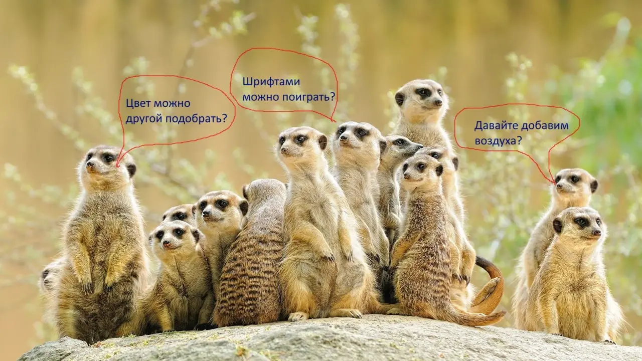 Влияние дизайна на результат
У цифровых продуктов есть составляющая, ценность которой очень переоценена.
Я про дизайн. А именно про новизну и креативность графической реализации | Сетка — социальная сеть от hh.ru