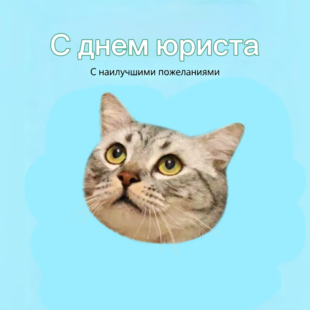 С праздником, котятки ❤️ | Сетка — социальная сеть от hh.ru