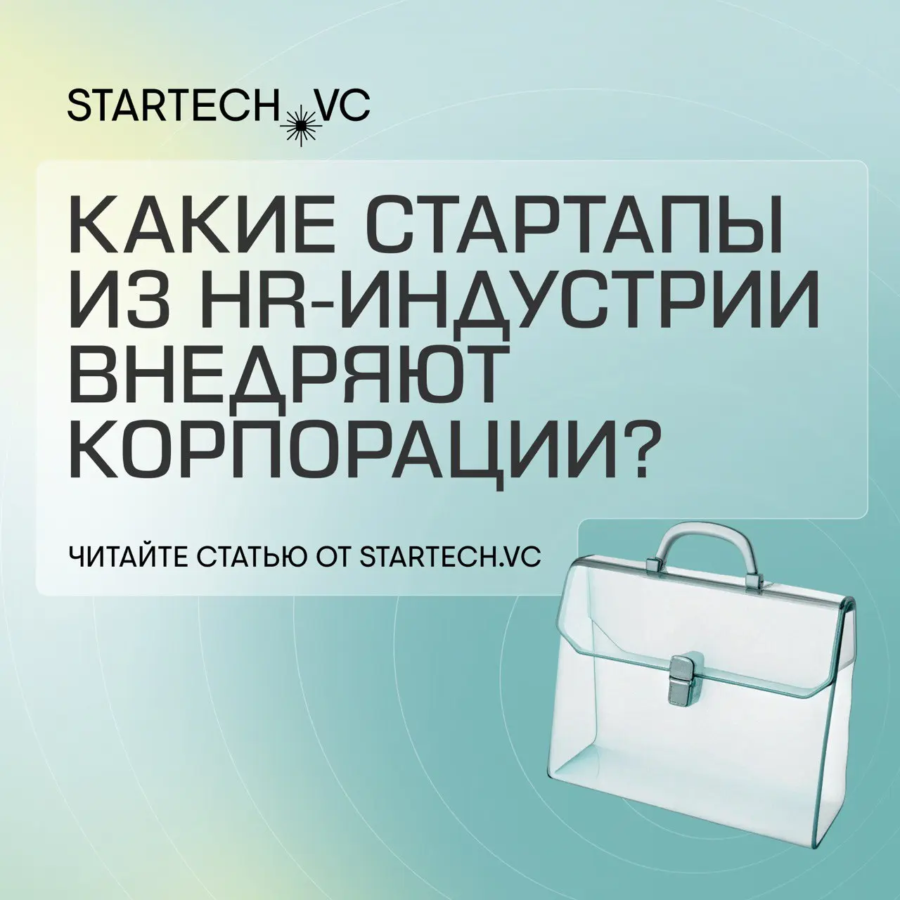 🐍 Startech подготовил статью про перспективные стартапы в найме и работе с сотрудниками
На премии Startech | Сетка — социальная сеть от hh.ru