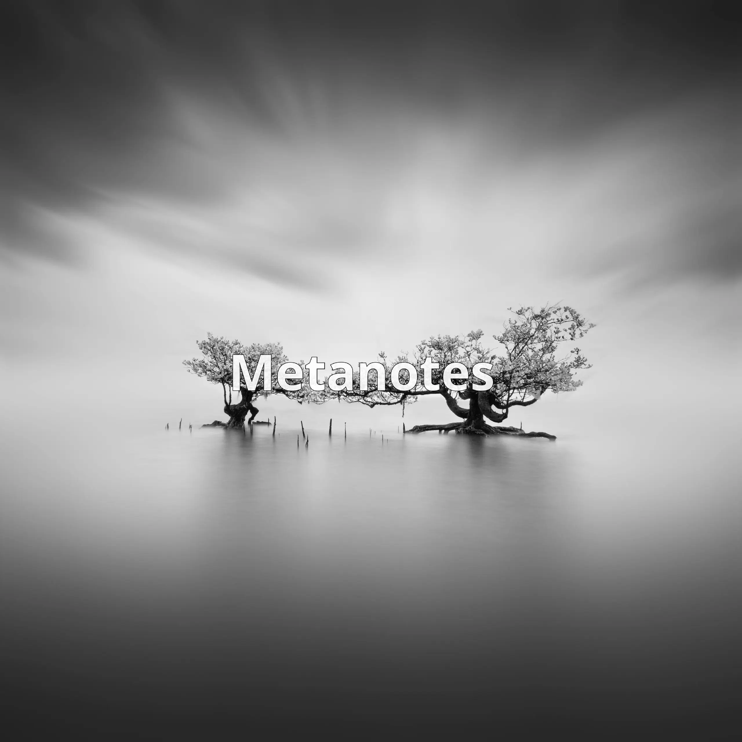 MetaNotes – это приложение для заметок, созданное для облегчения работы команд. Оно помогает легко записывать, организовывать и использовать идеи с встреч | Сетка — социальная сеть от hh.ru
