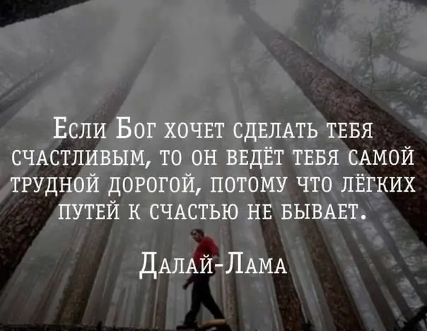 Не ищи лёгких путей | Сетка — социальная сеть от hh.ru