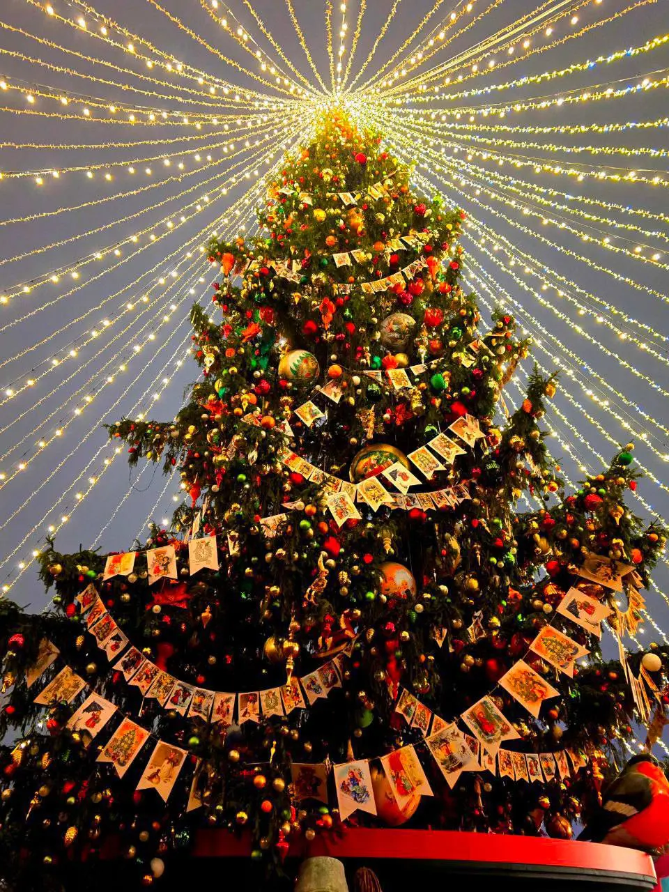 🎄«Город ёлочных игрушек»
📍Манежная площадь
📲Подпишитесь на Вдвижении
#бесплатно
В этом посте были ссылки, но мы их удалили по правилам Сетки | Сетка — социальная сеть от hh.ru
