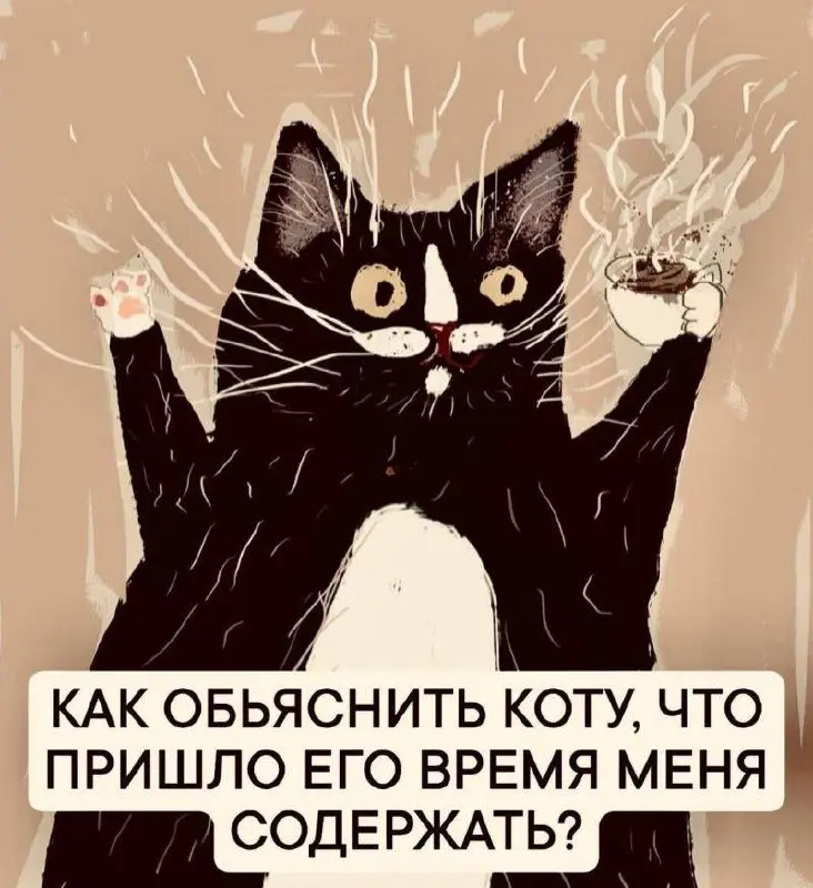 #cats | Сетка — социальная сеть от hh.ru