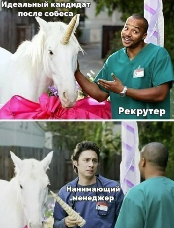 #interview | Сетка — социальная сеть от hh.ru