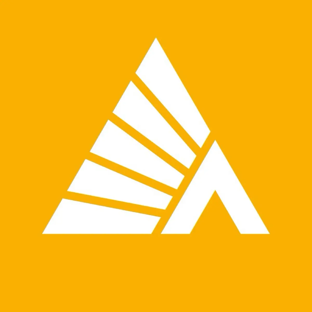 Деловые Линии. Карьера