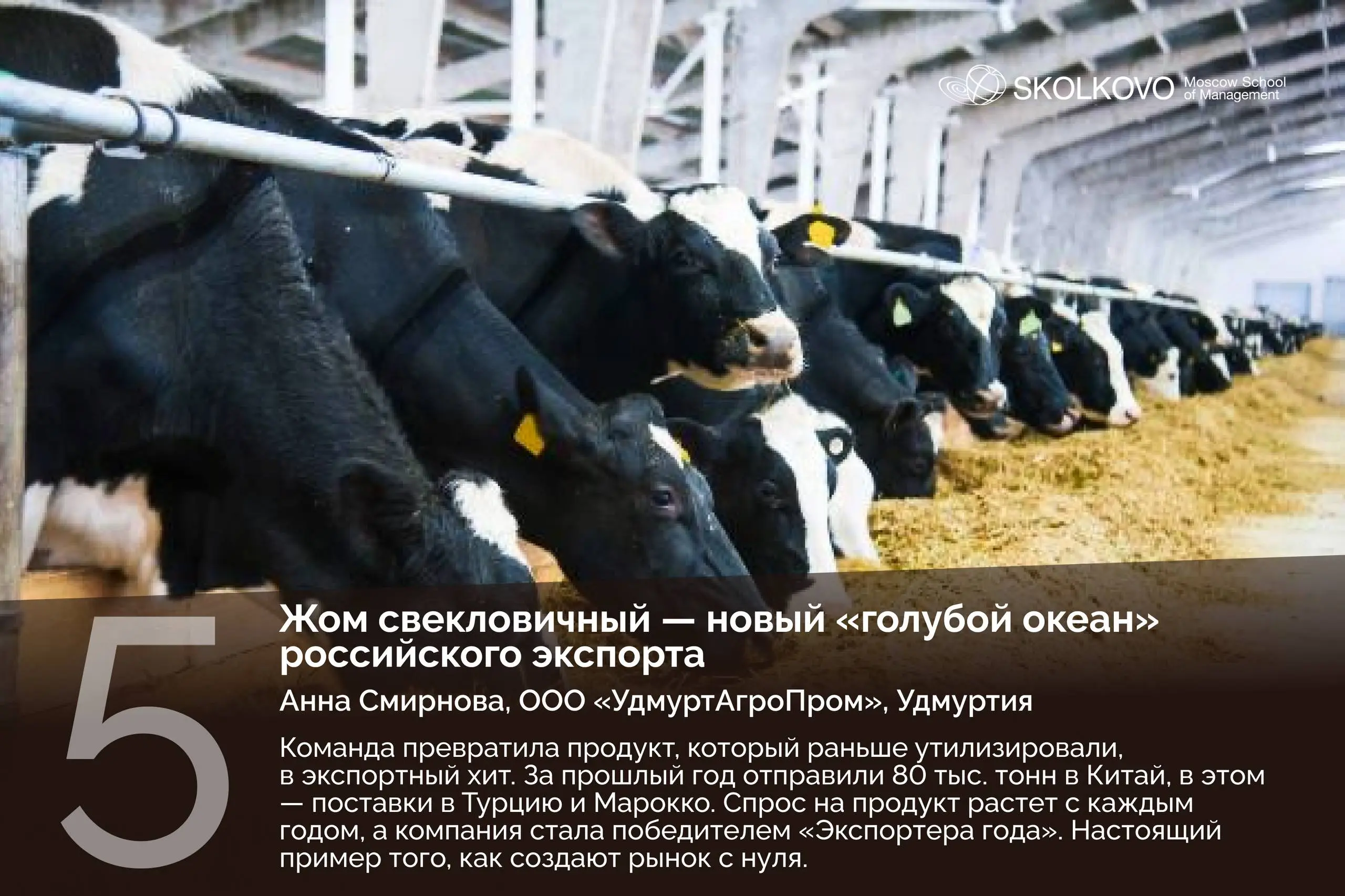 Топ-5 продуктов ноября 🔥
5 историй компаний, которые уже сейчас меняют представление о том, что такое «Сделано в России»🌟
Как я понимаю, это из бизнес школы Сколково | Сетка — социальная сеть от hh.ru