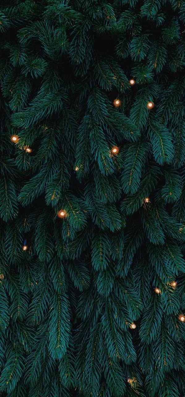 Привет, мои хорошие! ✨
Поставила себе новогоднюю заставку на рабочий стол ноута и даже появилось желание достать новогодние украшения | Сетка — социальная сеть от hh.ru
