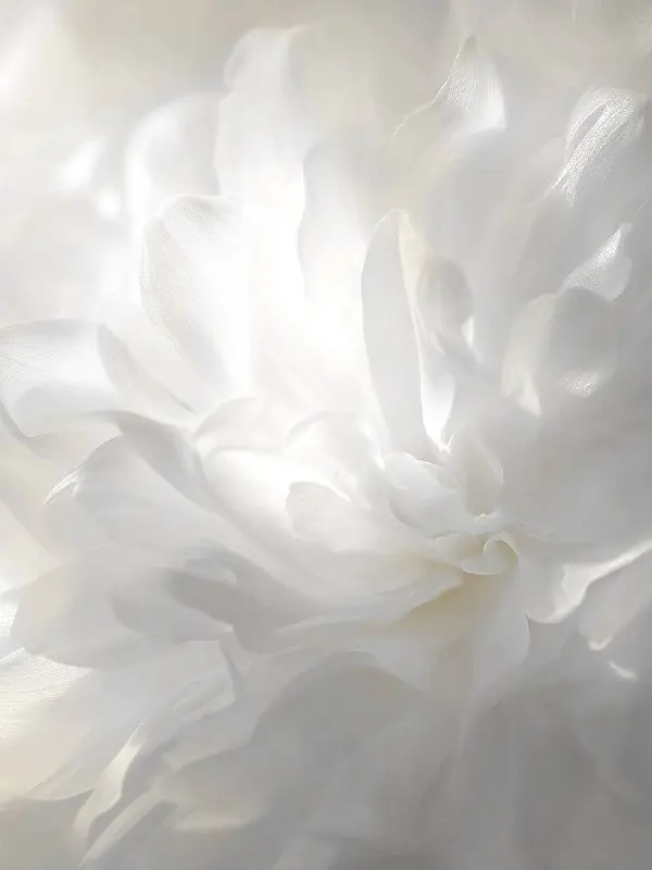 Pantone объявил цветом 2026 года оттенок 11-4201 Cloud Dancer («Облачный танцор») — мягкий, нейтральный белый с лёгким сероватым подтоном | Сетка — социальная сеть от hh.ru