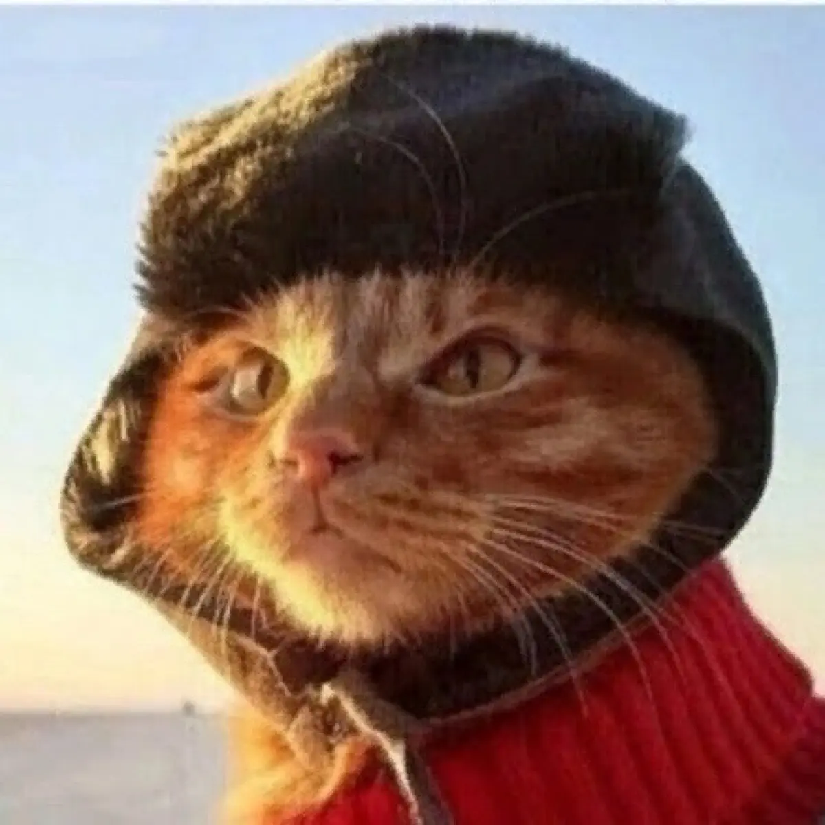 Василий Бе
