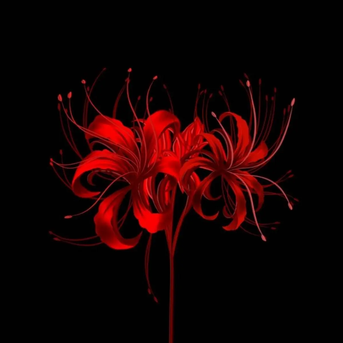 София Успенских | Сетка — социальная сеть от hh.ru