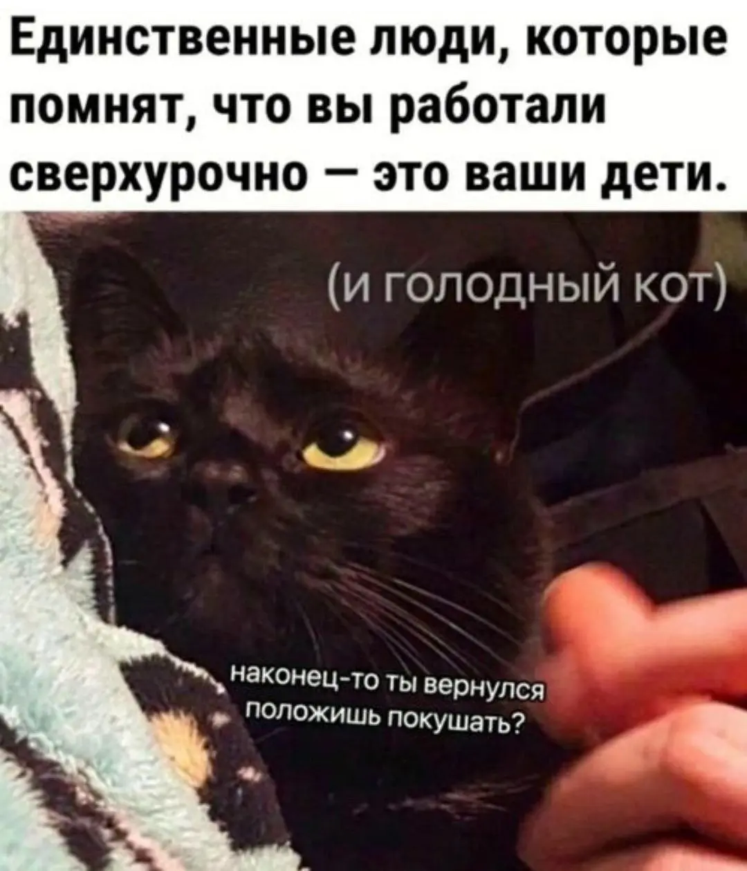 Он всегда вас ждет 😂
#Юмор@poldner #Коты@poldner | Сетка — социальная сеть от hh.ru
